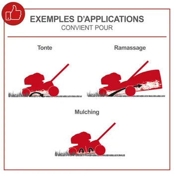 Scheppach Tondeuse à gazon thermique MS161-46 – Moteur à essence 4 temps 150 cm3 – Largeur de coupe 46 cm – Bac de 55 L – Ejection latérale
