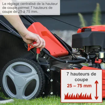 Tondeuse à essence SCHEPPACH Ms225-53e , 224 cm³, l.53 cm, démarrage électrique
